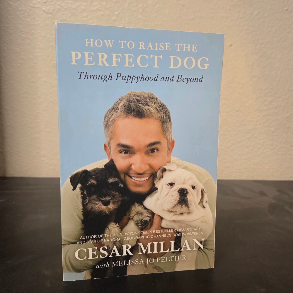 How to Raise the Perfect Dog Through Puppyhood and Beyond